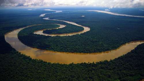 Amazonia05